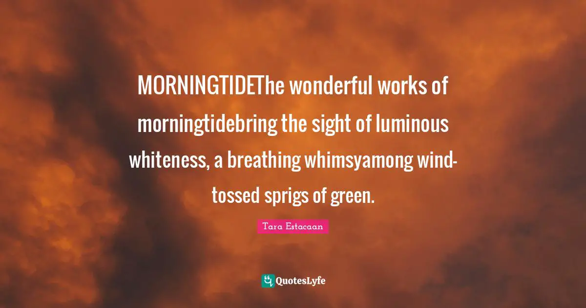 MORNINGTIDEThe wonderful works of morningtidebring the sight of luminous whiteness, a breathing whimsyamong wind-tossed sprigs of green.
