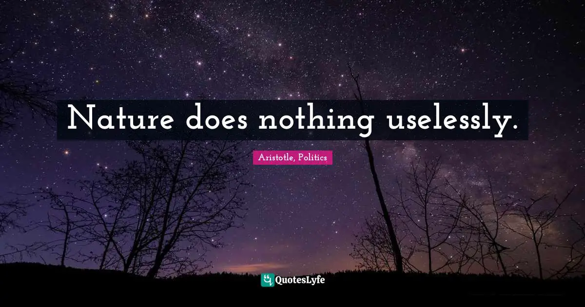 Nature does nothing uselessly.