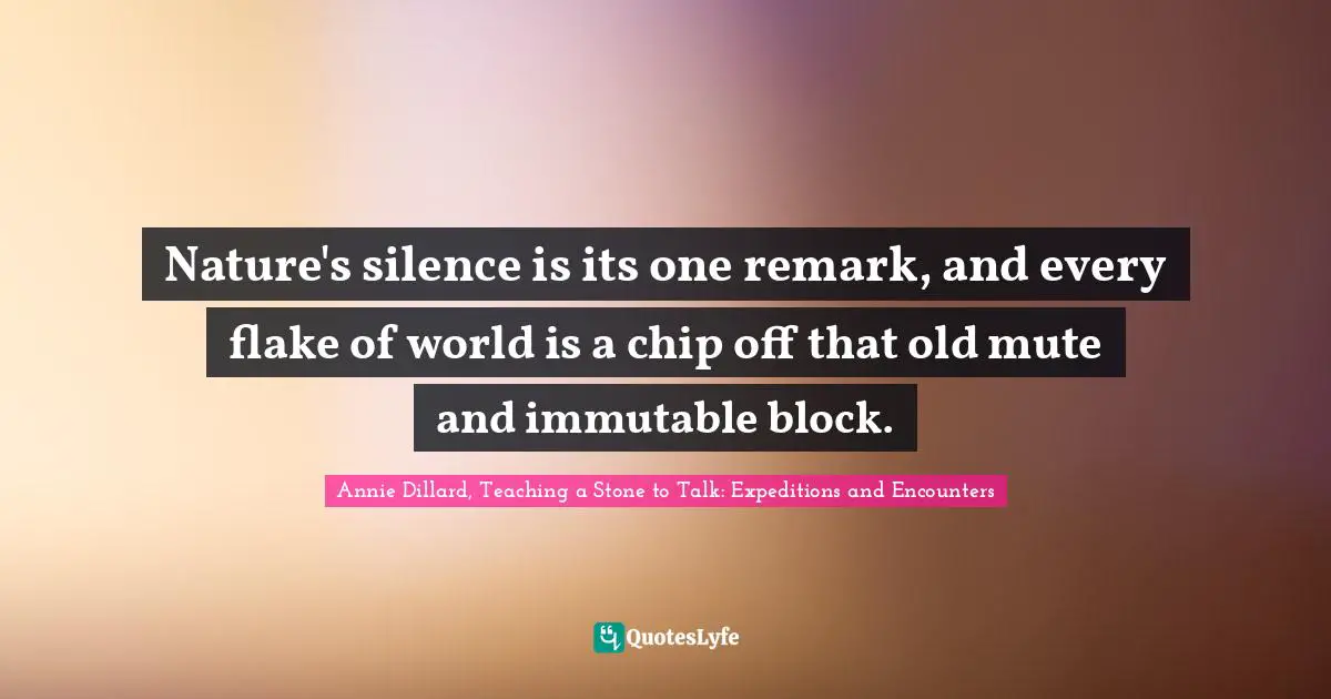 Nature's silence is its one remark, and every flake of world is a chip off that old mute and immutable block.