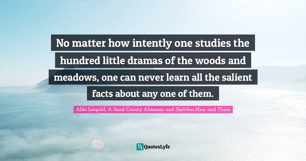No matter how intently one studies the hundred little dramas of the woods and meadows, one can never learn all the salient facts about any one of them.
