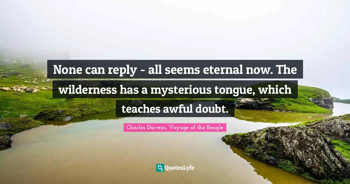 None can reply - all seems eternal now. The wilderness has a mysterious tongue, which teaches awful doubt.
