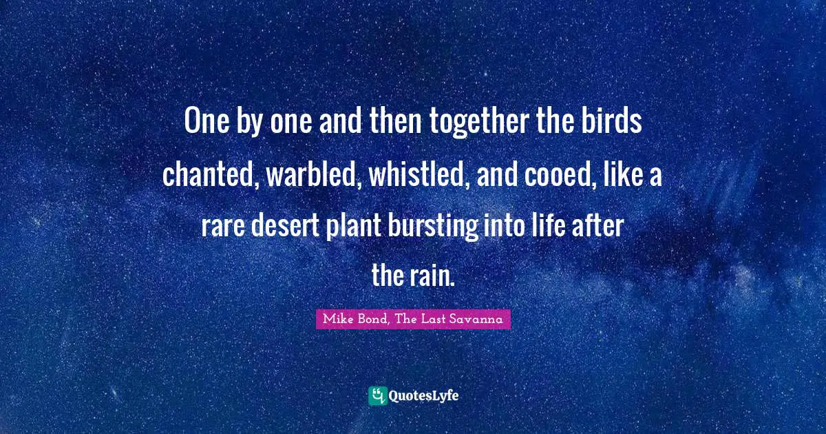 One by one and then together the birds chanted, warbled, whistled, and cooed, like a rare desert plant bursting into life after the rain.