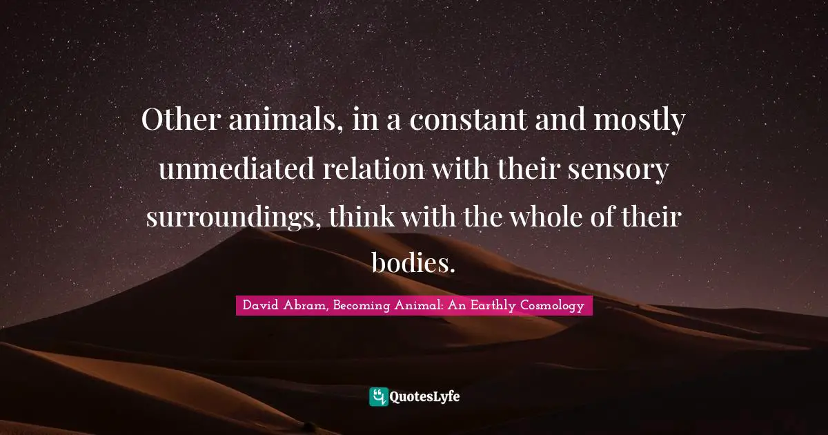 Other animals, in a constant and mostly unmediated relation with their sensory surroundings, think with the whole of their bodies.