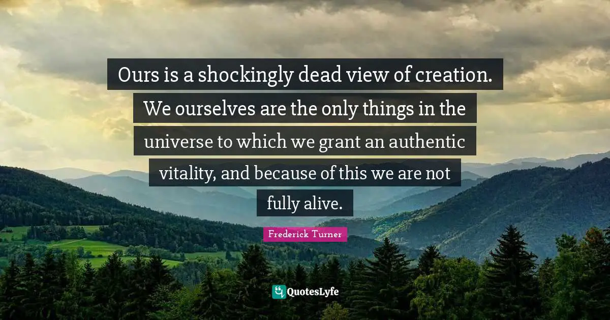 Ours is a shockingly dead view of creation. We ourselves are the only things in the universe to which we grant an authentic vitality, and because of this we are not fully alive.
