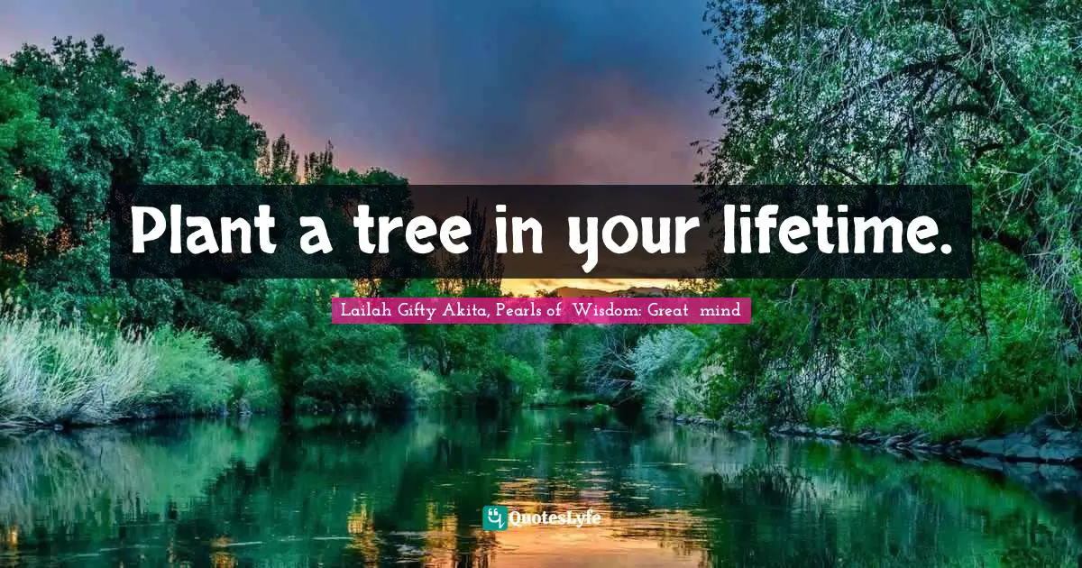 Plant a tree in your lifetime.