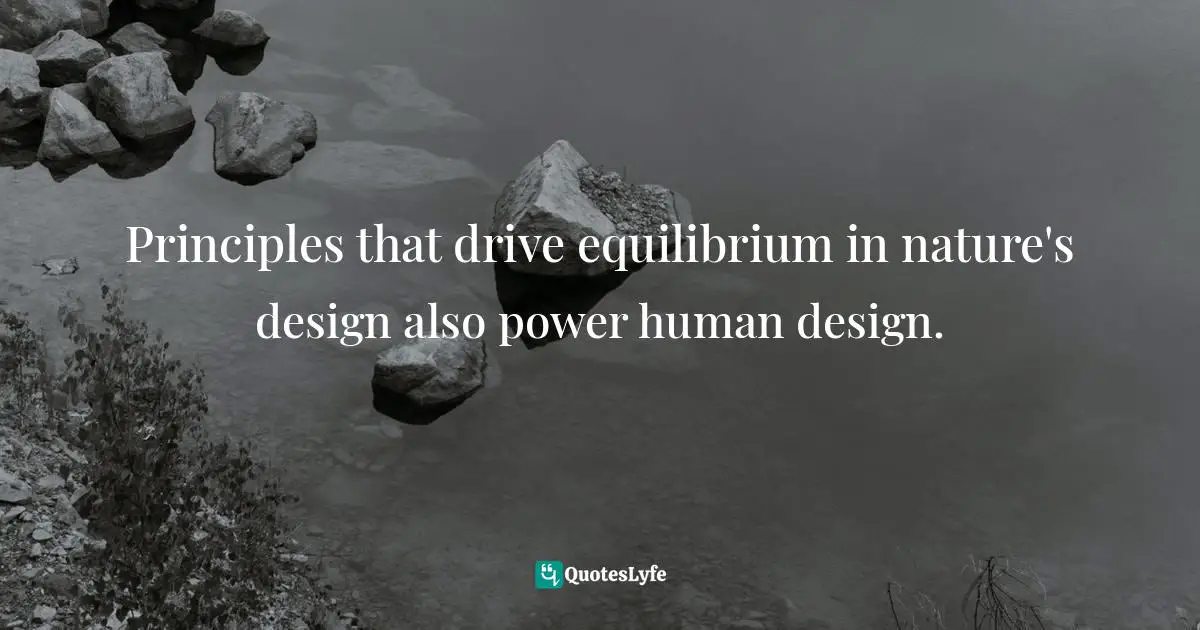 Principles that drive equilibrium in nature's design also power human design.