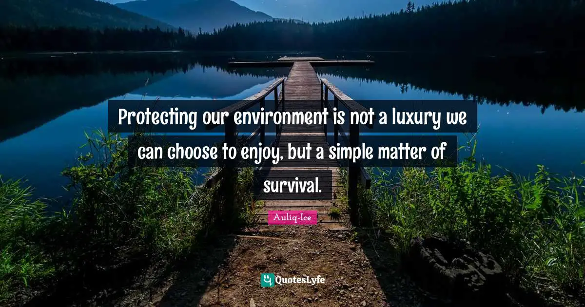 Protecting our environment is not a luxury we can choose to enjoy, but a simple matter of survival.