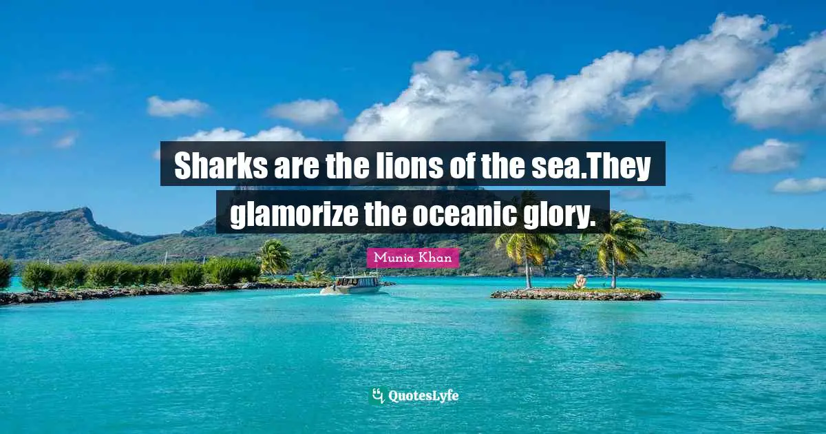 Sharks are the lions of the sea.They glamorize the oceanic glory.