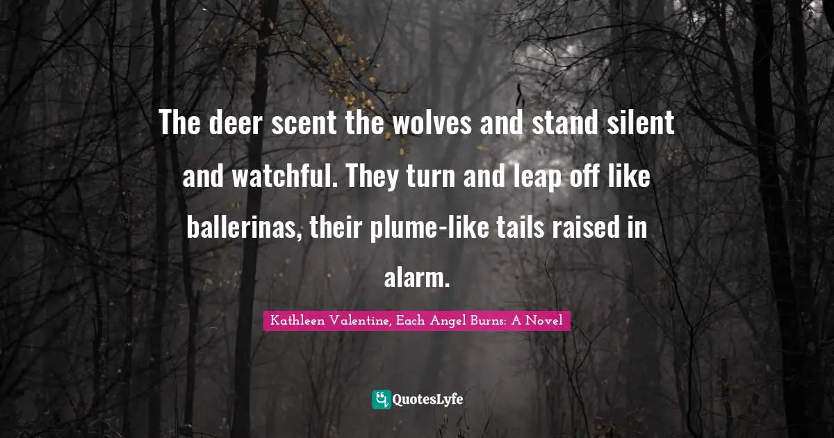 The deer scent the wolves and stand silent and watchful. They turn and leap off like ballerinas, their plume-like tails raised in alarm.