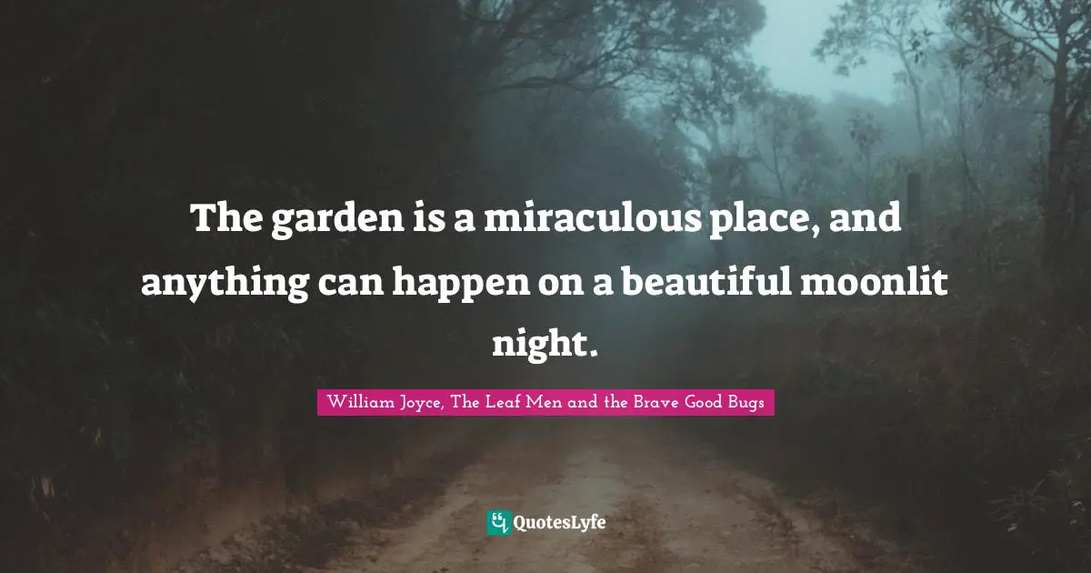 The garden is a miraculous place, and anything can happen on a beautiful moonlit night.