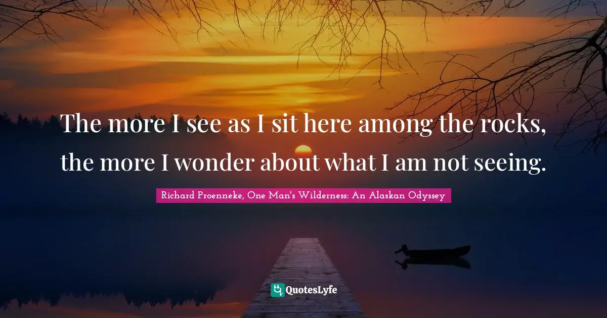 The more I see as I sit here among the rocks, the more I wonder about what I am not seeing.