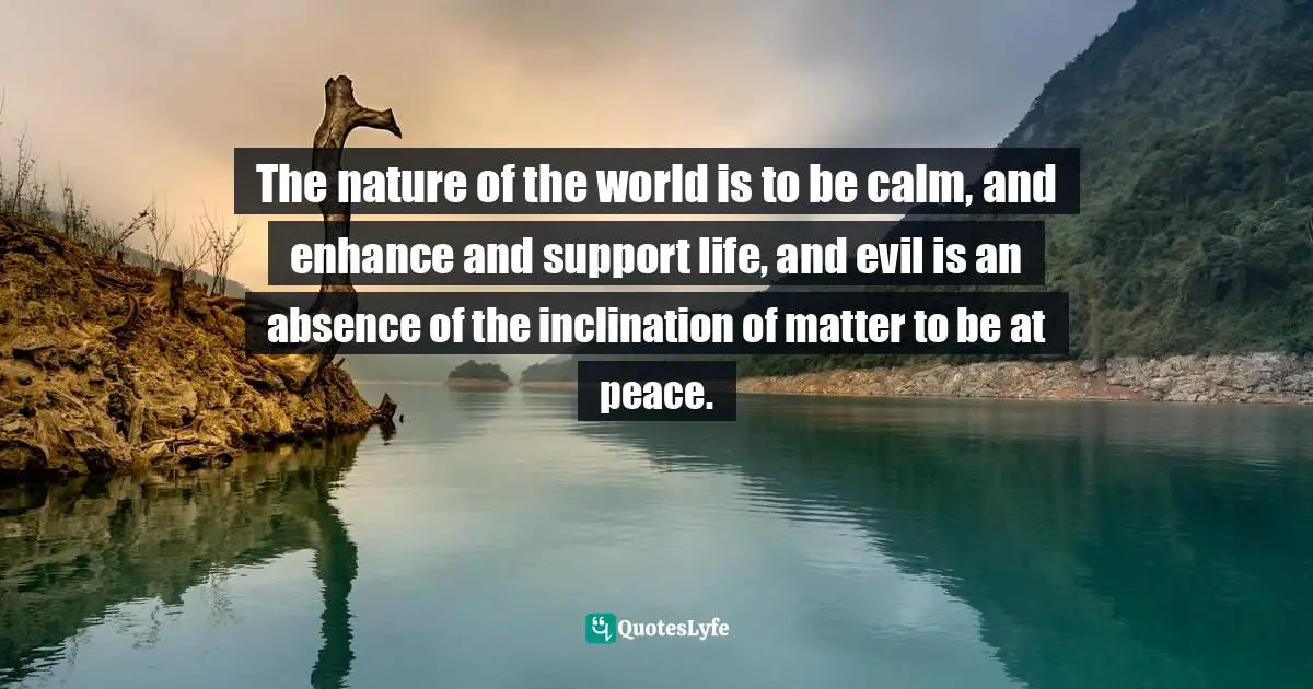 The nature of the world is to be calm, and enhance and support life, and evil is an absence of the inclination of matter to be at peace.