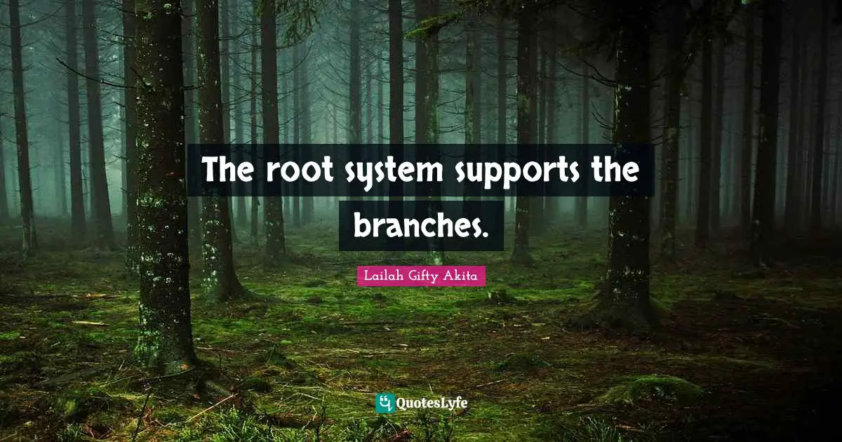 Root Quotes: "The root system supports the branches."