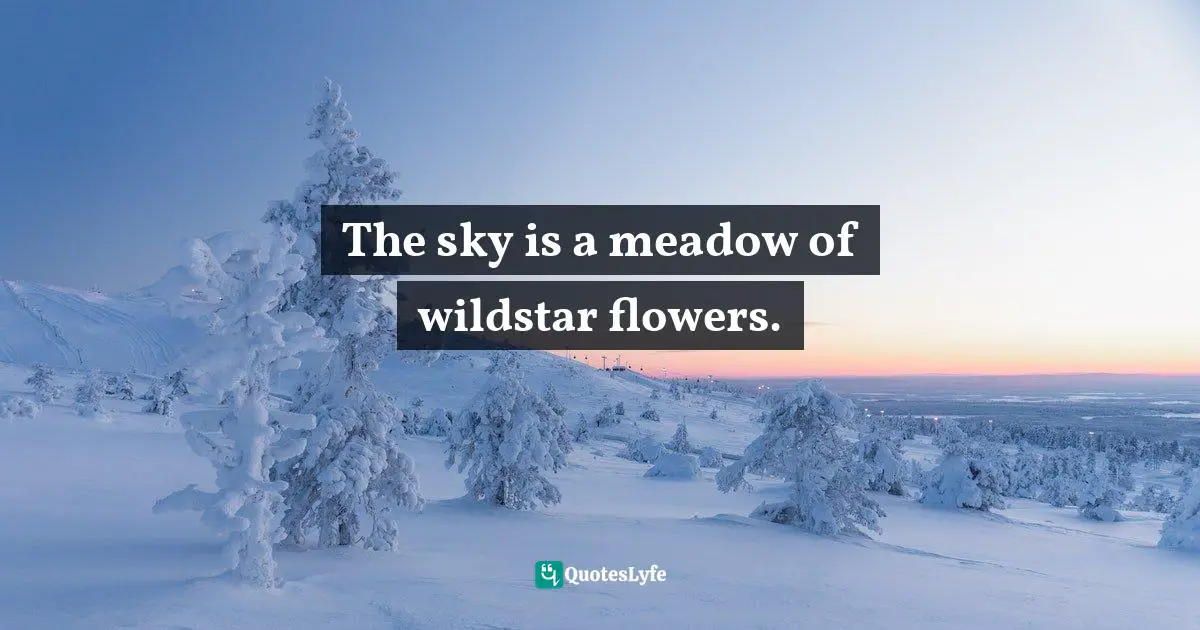 The sky is a meadow of wildstar flowers.