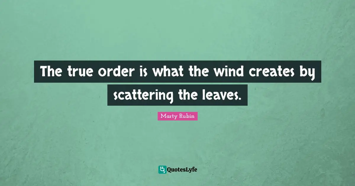 The true order is what the wind creates by scattering the leaves.