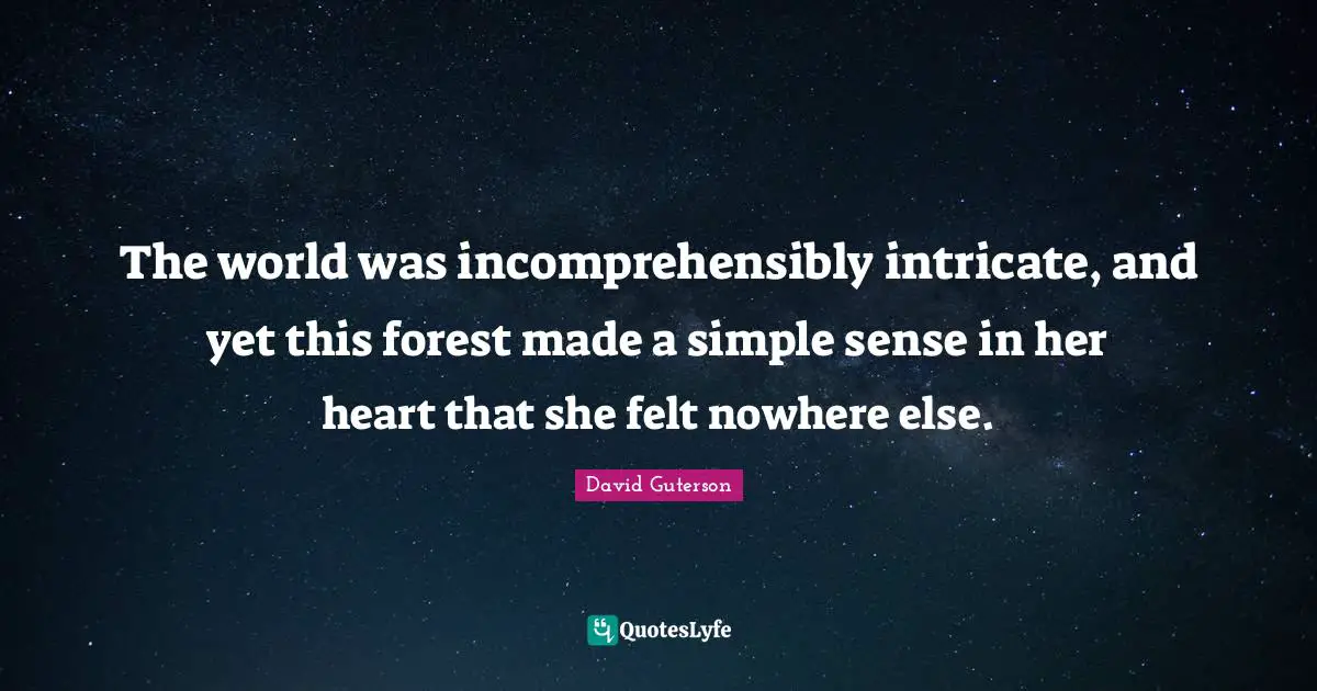 The world was incomprehensibly intricate, and yet this forest made a simple sense in her heart that she felt nowhere else.