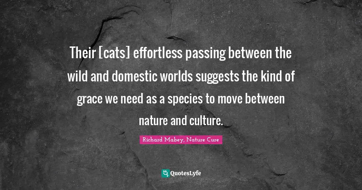 Their [cats] effortless passing between the wild and domestic worlds suggests the kind of grace we need as a species to move between nature and culture.