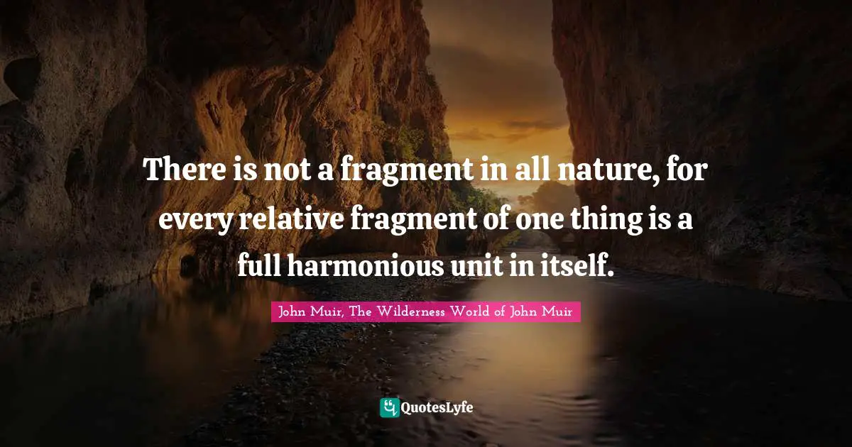 There is not a fragment in all nature, for every relative fragment of one thing is a full harmonious unit in itself.