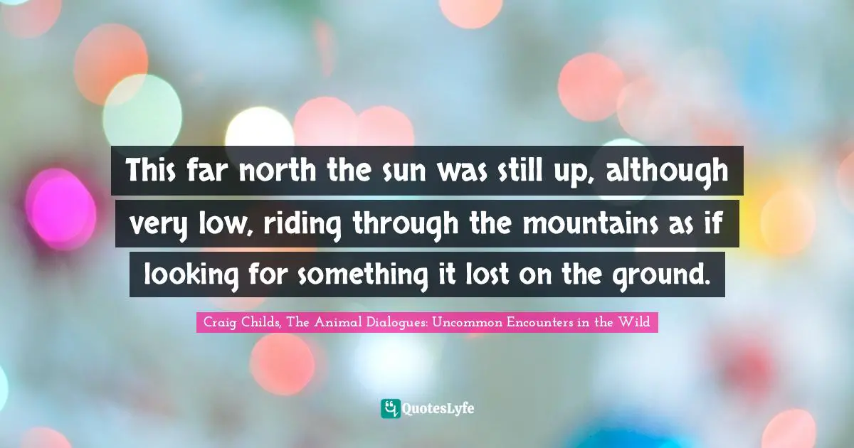 This far north the sun was still up, although very low, riding through the mountains as if looking for something it lost on the ground.