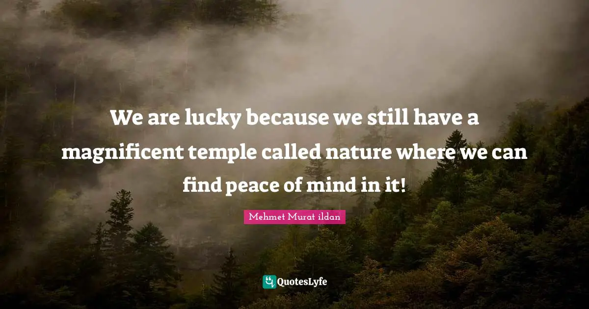 We are lucky because we still have a magnificent temple called nature where we can find peace of mind in it!