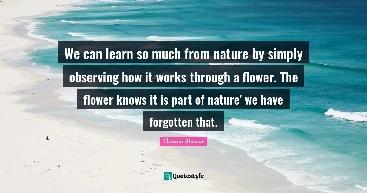 We can learn so much from nature by simply observing how it works through a flower. The flower knows it is part of nature' we have forgotten that.