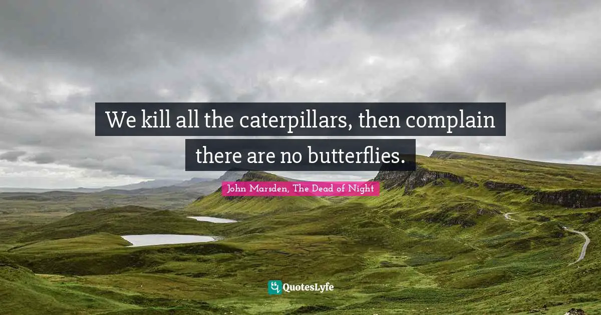 We kill all the caterpillars, then complain there are no butterflies.