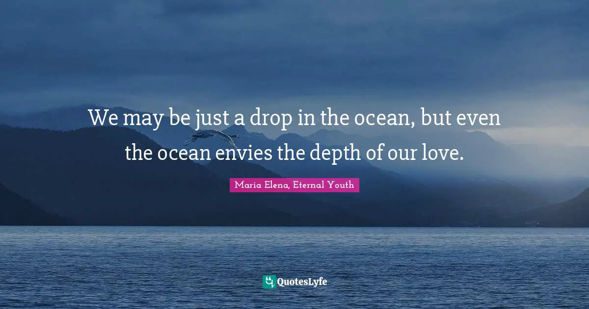 We may be just a drop in the ocean, but even the ocean envies the depth of our love.