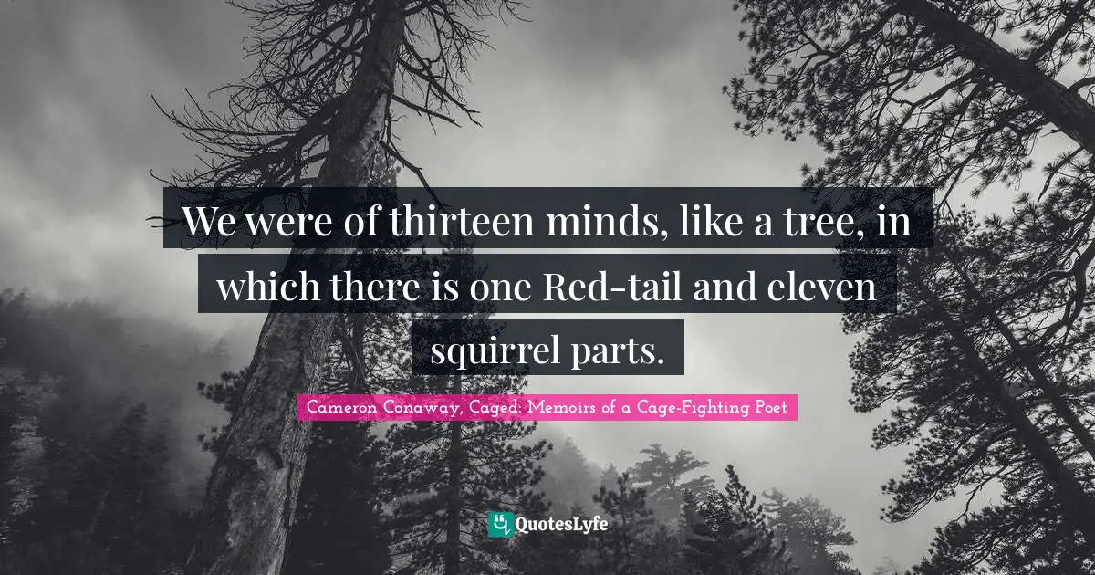 We were of thirteen minds, like a tree, in which there is one Red-tail and eleven squirrel parts.