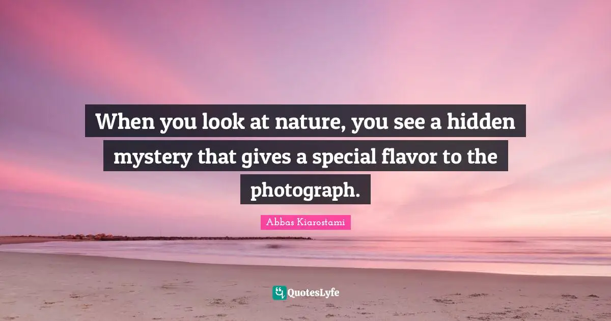 When you look at nature, you see a hidden mystery that gives a special flavor to the photograph.