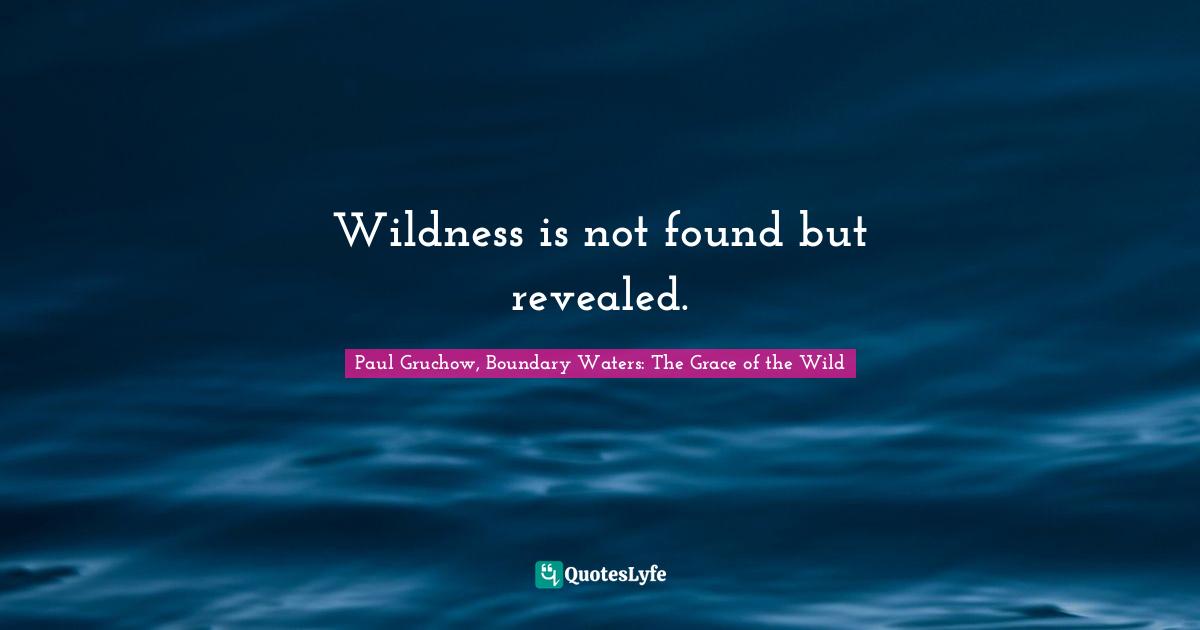 Wildness is not found but revealed.