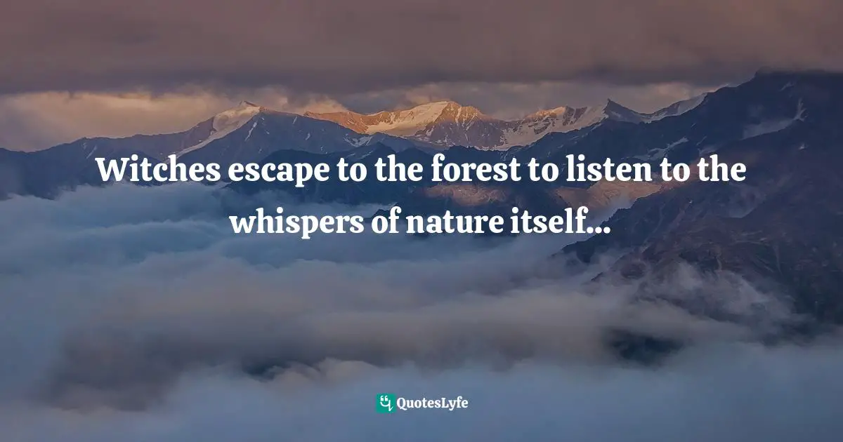 Witches escape to the forest to listen to the whispers of nature itself...