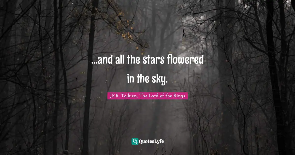 ...and all the stars flowered in the sky.