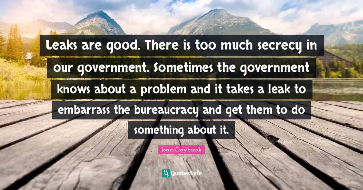 Leaks are good. There is too much secrecy in our government. Sometimes the government knows about a problem and it takes a leak to embarrass the bureaucracy and get them to do something about it.