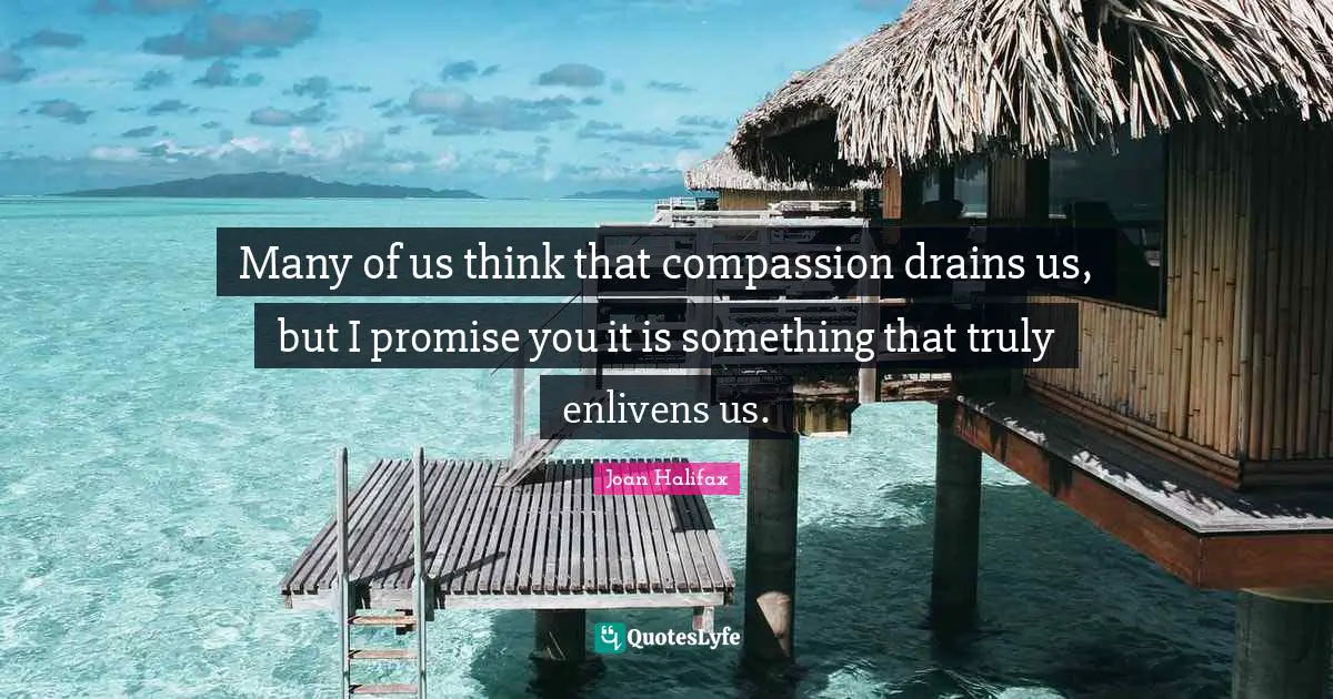 Many of us think that compassion drains us, but I promise you it is something that truly enlivens us.