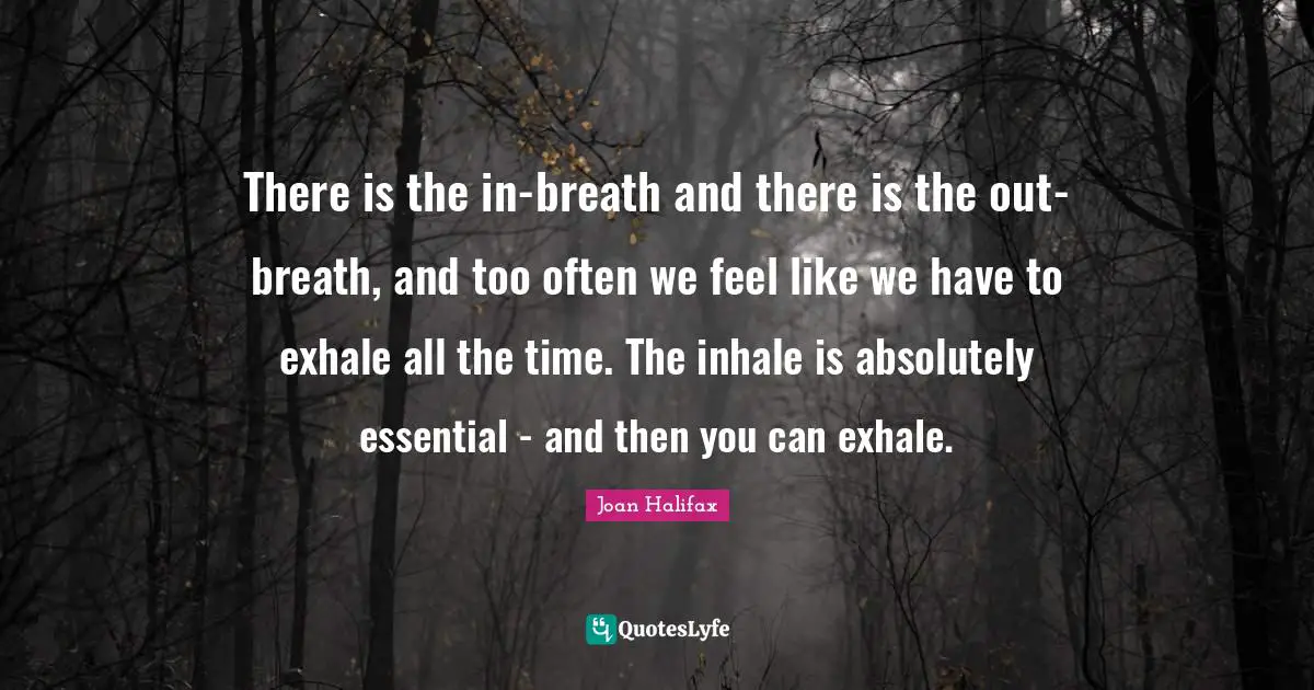 There is the in-breath and there is the out-breath, and too often we feel like we have to exhale all the time. The inhale is absolutely essential - and then you can exhale.