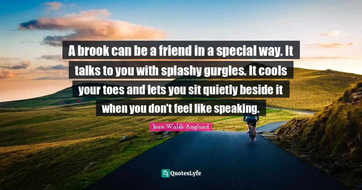 A brook can be a friend in a special way. It talks to you with splashy gurgles. It cools your toes and lets you sit quietly beside it when you don't feel like speaking.