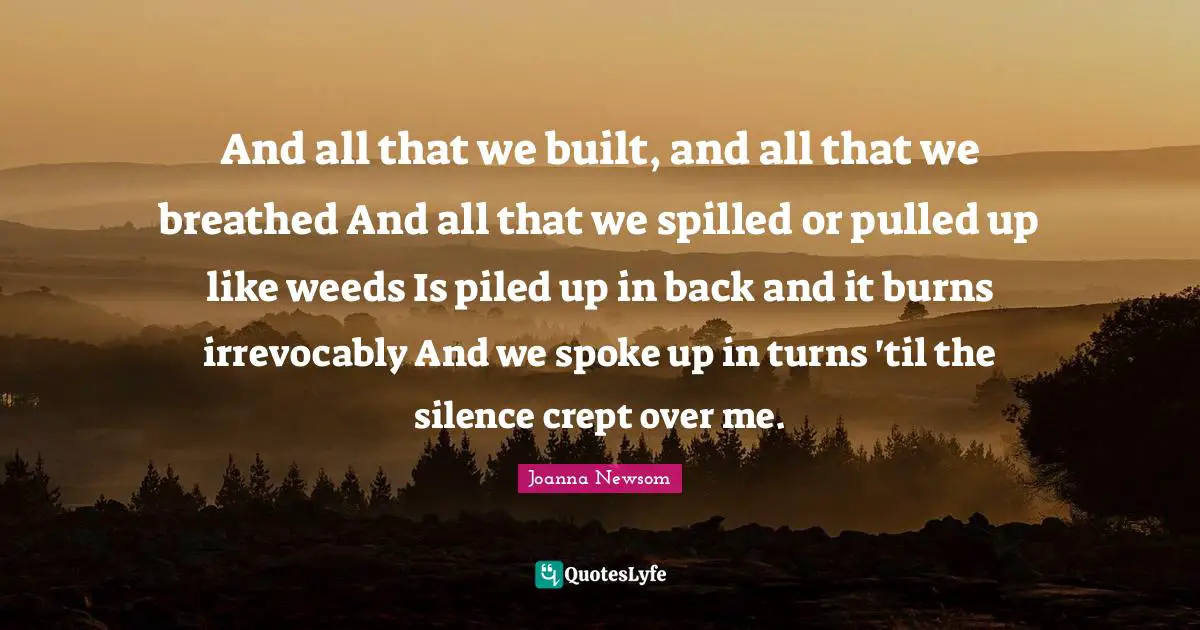 And all that we built, and all that we breathed And all that we spilled or pulled up like weeds Is piled up in back and it burns irrevocably And we spoke up in turns 'til the silence crept over me.