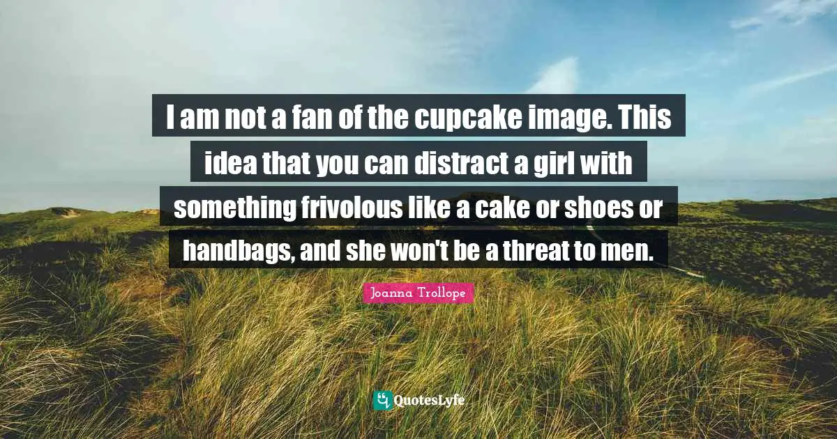 I am not a fan of the cupcake image. This idea that you can distract a girl with something frivolous like a cake or shoes or handbags, and she won't be a threat to men.