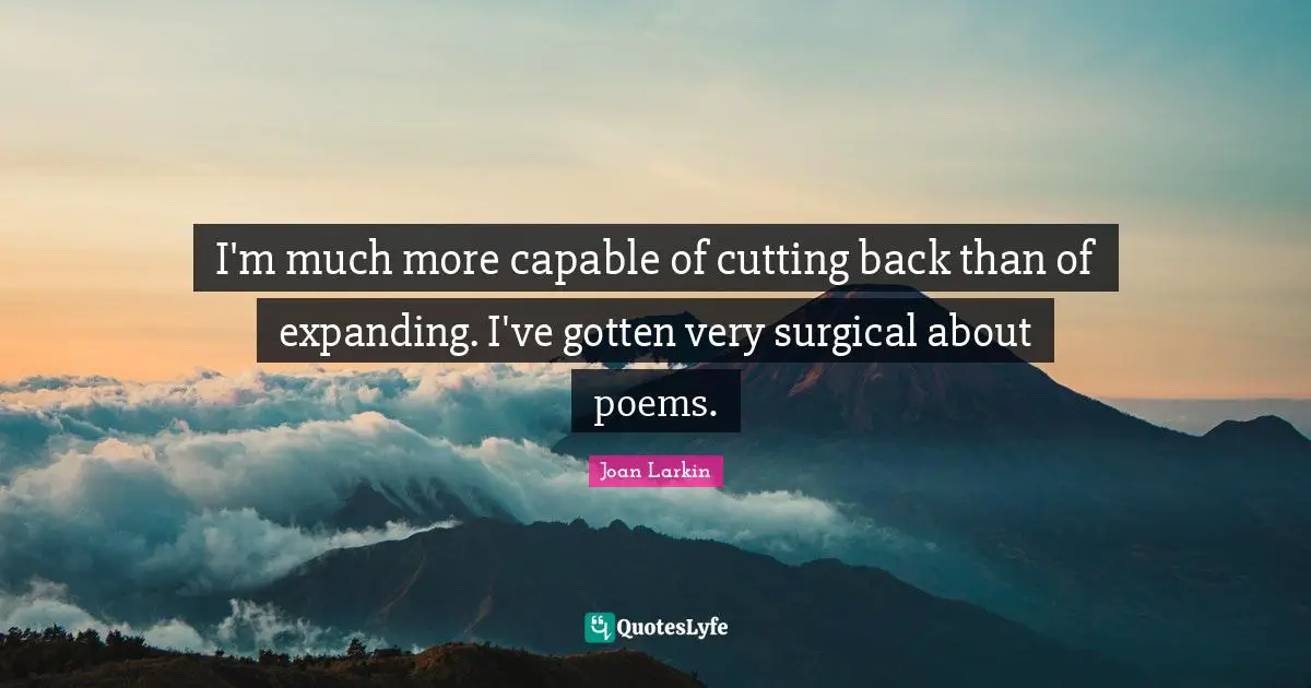 I'm much more capable of cutting back than of expanding. I've gotten very surgical about poems.
