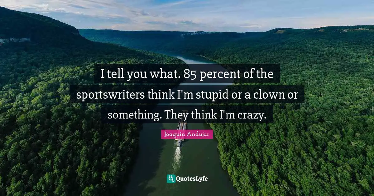 I tell you what. 85 percent of the sportswriters think I'm stupid or a clown or something. They think I'm crazy.