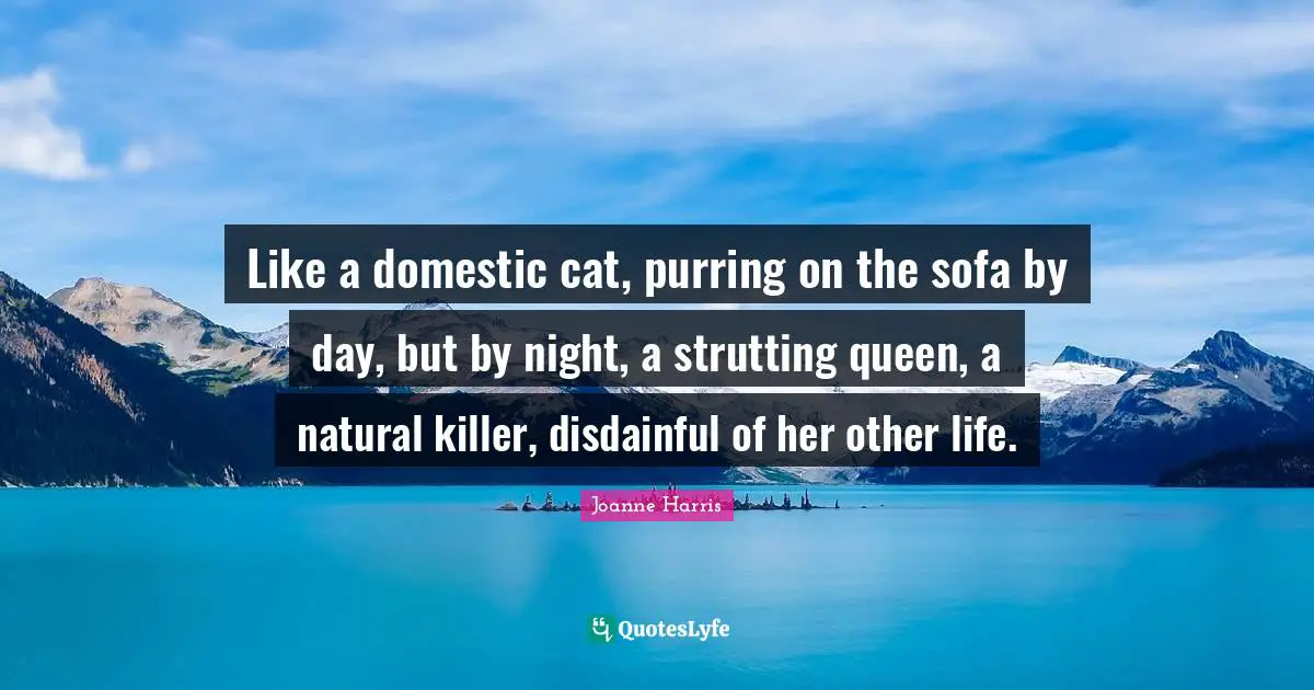 Like a domestic cat, purring on the sofa by day, but by night, a strutting queen, a natural killer, disdainful of her other life.