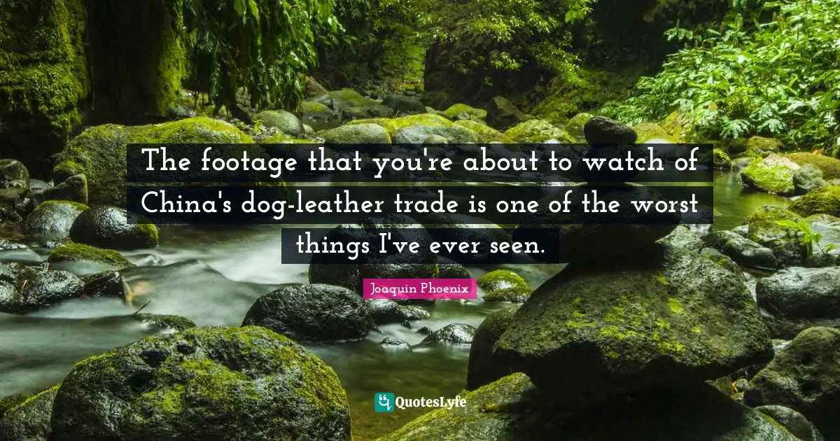 The footage that you're about to watch of China's dog-leather trade is one of the worst things I've ever seen.