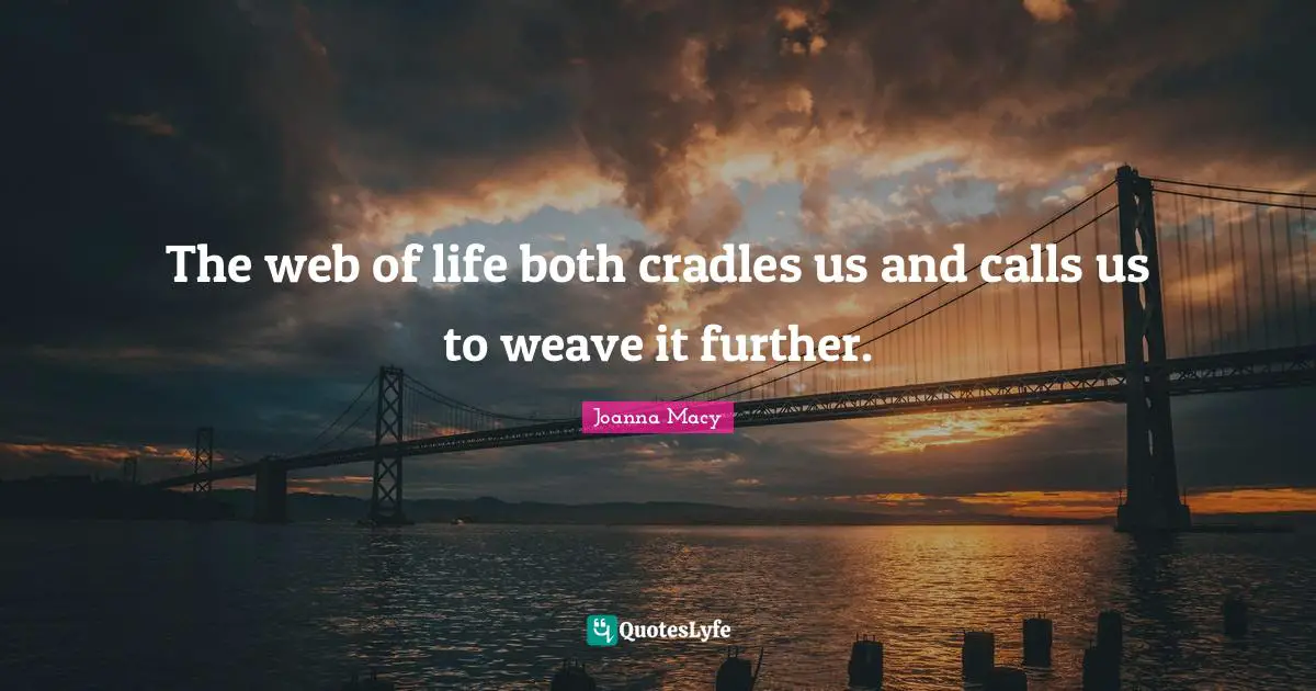 The web of life both cradles us and calls us to weave it further.