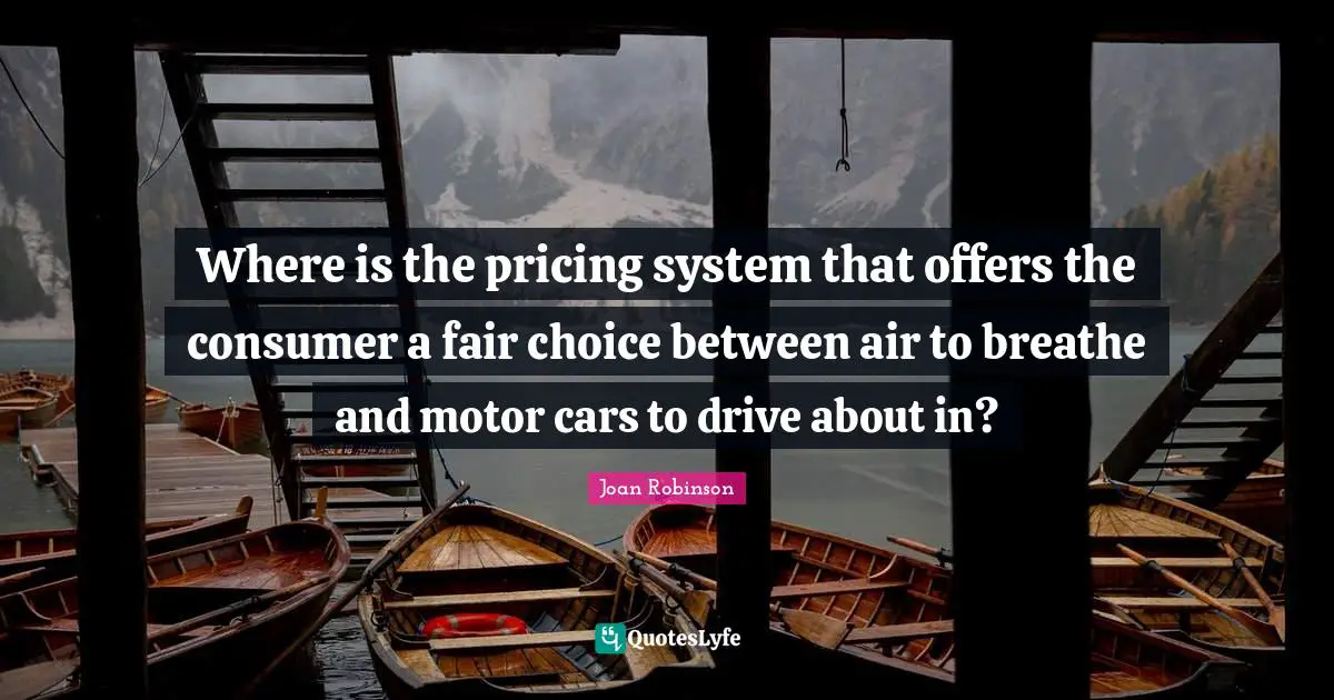 Where is the pricing system that offers the consumer a fair choice between air to breathe and motor cars to drive about in?