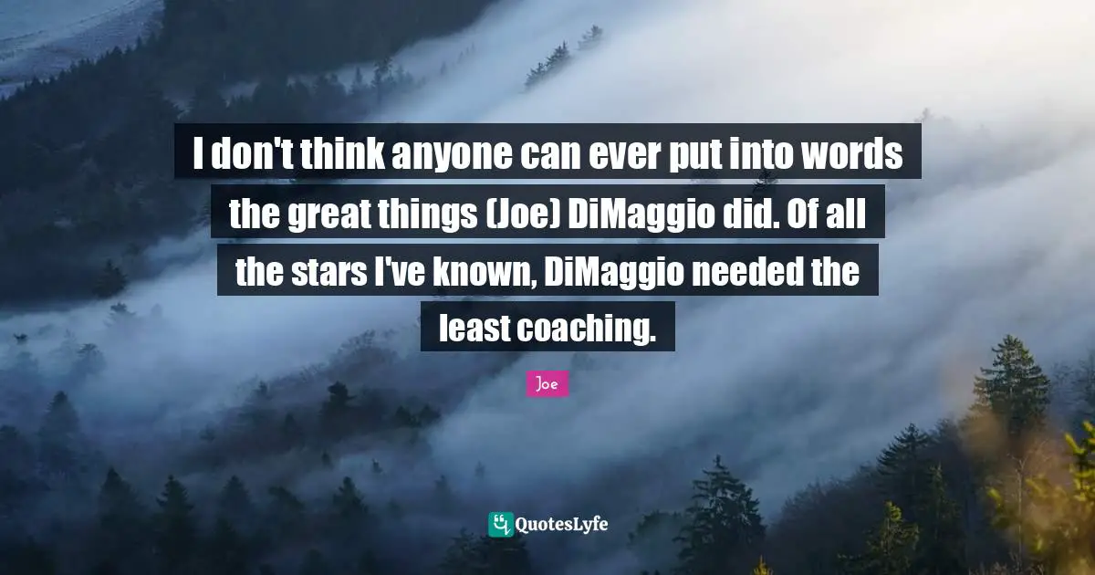 I don't think anyone can ever put into words the great things (Joe) DiMaggio did. Of all the stars I've known, DiMaggio needed the least coaching.
