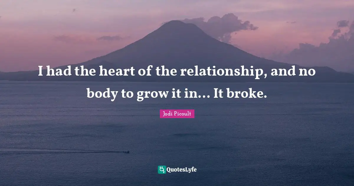 I had the heart of the relationship, and no body to grow it in... It broke.