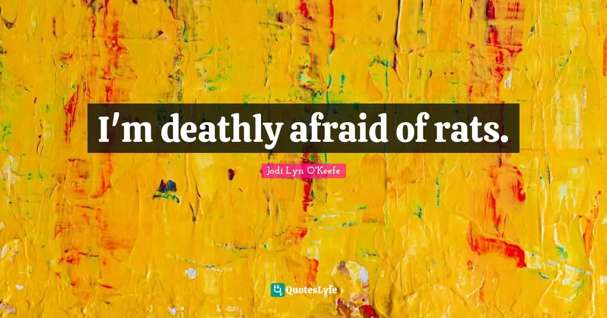 I'm deathly afraid of rats.