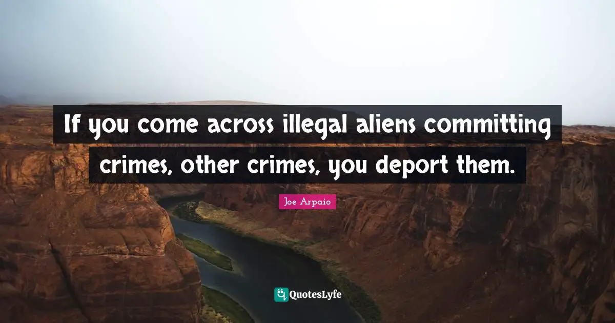 If you come across illegal aliens committing crimes, other crimes, you deport them.