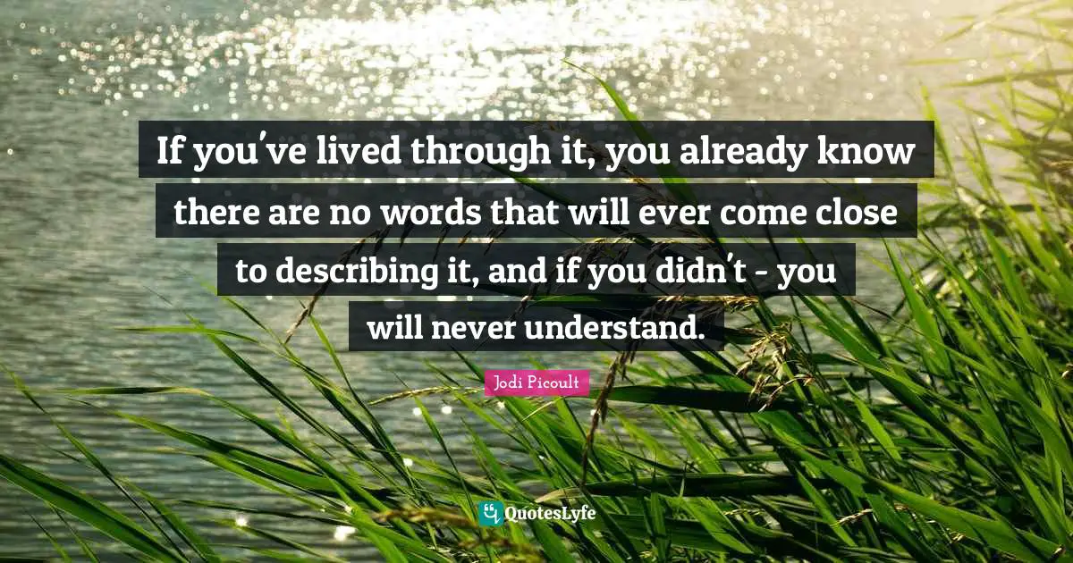 If you've lived through it, you already know there are no words that will ever come close to describing it, and if you didn't - you will never understand.
