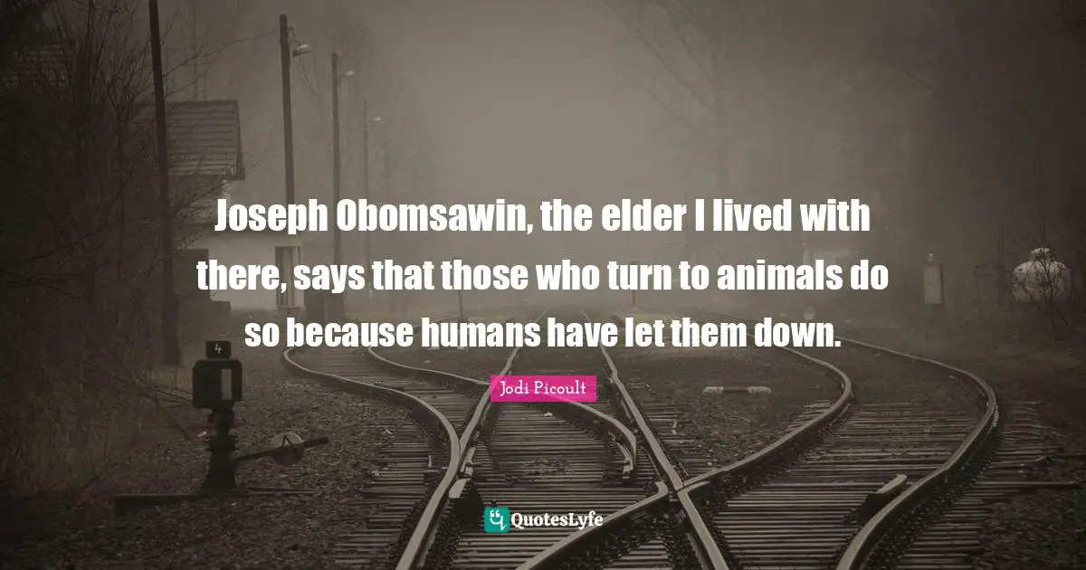 Joseph Obomsawin, the elder I lived with there, says that those who turn to animals do so because humans have let them down.